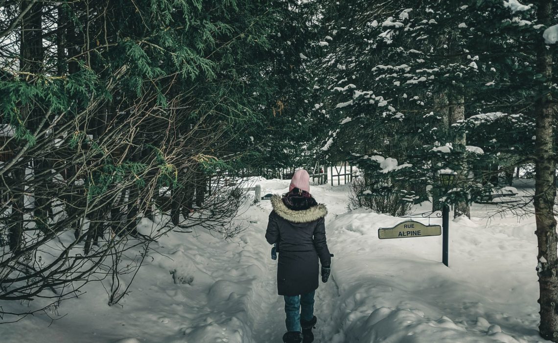 pexels-ali-kazal-10772346